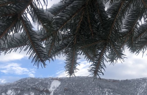 Durango Condo | Base camp Durango awaiits! Great views and deck. Dogs OK