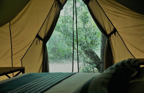 Nochchiyagama Other | Base Camp Wilpattu