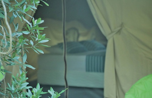 Nochchiyagama Other | Base Camp Wilpattu