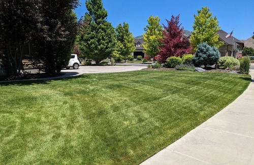 Mapleton House | Basement Apartment near Provo in Quiet Neighborhood with Beautiful Mountain View
