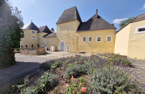 Kreuzweiler Apartment | Basic twin room shower/WC - KLEIN - Thorn Castle