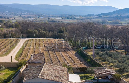 Croagnes House | Bastide-style property with pool and grape vines