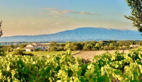Saint-Didier Bed & Breakfast | Bastide Saint-Didier