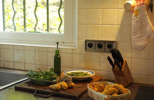 Lourmarin Cottage | Bastidon de CASTEUSE (villa), Lourmarin, Luberon, Provence, park and garden