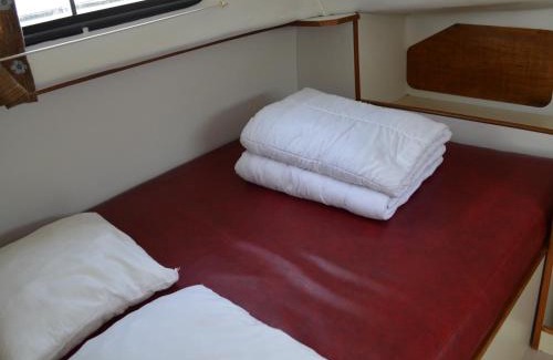 Pontailler-sur-Saone Boat Rental | Bateau confortable à quai pour 5 pers, Pontailler-sur-Saône, proche commerces - API-1-46-16
