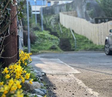 Newcastle House | Bath Lane Cottages & Sauna Garden