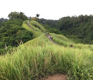 Ubud City-Centre Ski Chalet | BATI Private Luxury Living