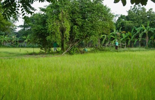 Svay Pao Resort | Battambang Resort