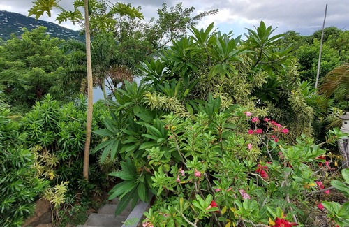Peterborg House | BATTMAN'S BEACH HOUSE.nWalk to the Beach, See the Views and The Reviews!