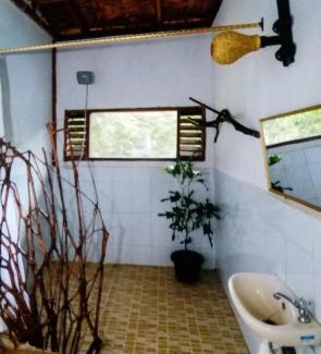 Bohorok House | Batu Kapal Guest House & Jungle trekking