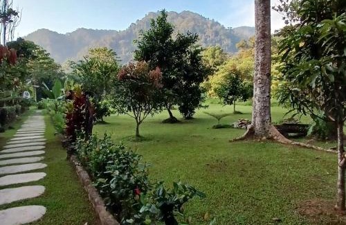 Bohorok House | Batu Kapal Guest House & Jungle trekking