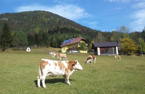 Windisch Bleiberg Apartment | Bauernchalet Orainza