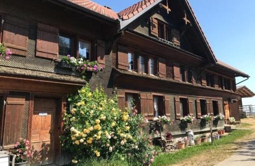 Butschwil Apartment | Bauernhof Sal