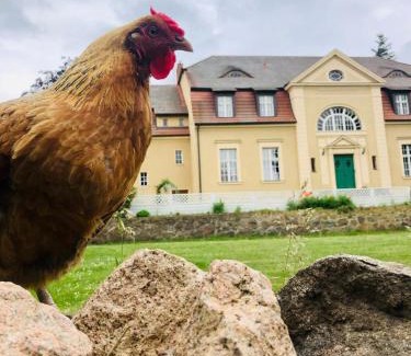 Niemegk Apartment | #Bauernhofvilla nur für Frauen