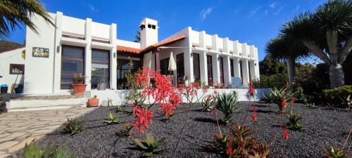 Los Llanos de Aridane House | BauHaus meets cactus