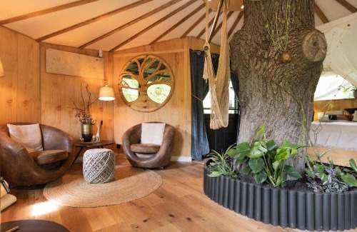 Borstel Bed & Breakfast | Baumhaus Solitär