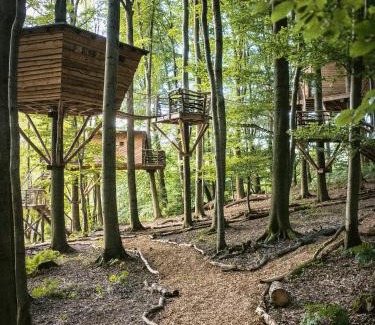 Witzenhausen Hotel | Baumhaushotel Robins Nest