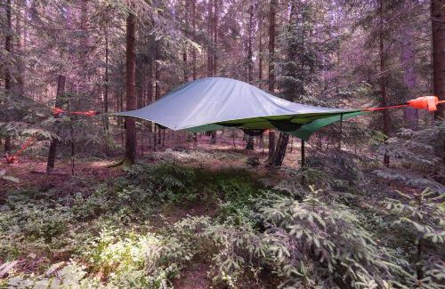 Regen Bed & Breakfast | Baumzelt im Wald