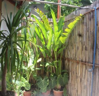 Dauin House | BAY DE EMMANUEL Room Rental