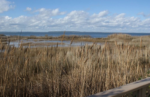 Midtown Ocean City Condo | Bay Front Condo w/Pool One Block from the Beach!