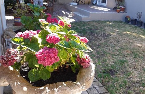 Linkside Apartment | Baylight Accomodation Room 2