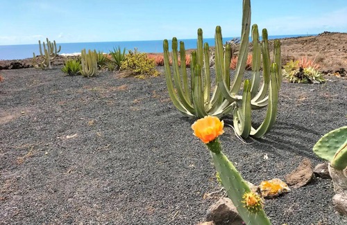 Guatiza House | Bayside | Casa Leónida Ocean Volcano house