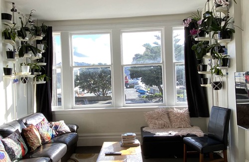 Oriental Bay Apartment | Bayview house in Oriental Parade