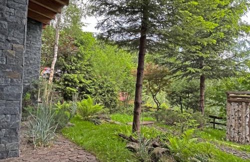 Harghita-Bai Villa | Bazalt Wellness Villa