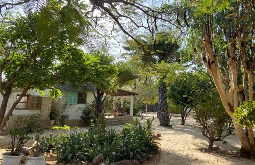 Ndangane Cabin | Bazouk Du Saloum Ecolodge Solidaire