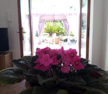 Villa Musone Bed & Breakfast | bb delcondotto