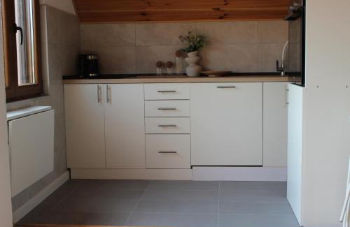 Pluzine Apartment | BB Piva Village Home