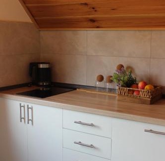 Pluzine Apartment | BB Piva Village Home