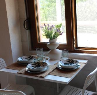 Pluzine Apartment | BB Piva Village Home