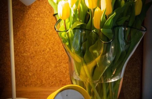 Bilzen Bed & Breakfast | BC bed en comfort