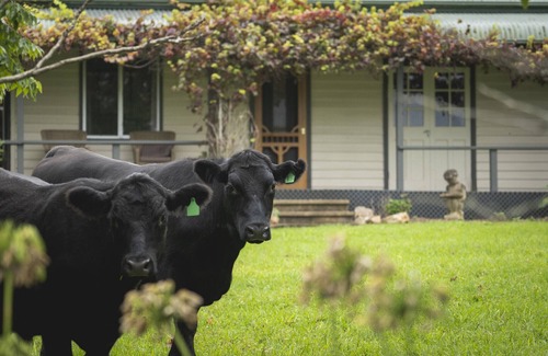 Tugrabakh House | Be amongst nature in the 1890s farmhouse - a time you will never forget.