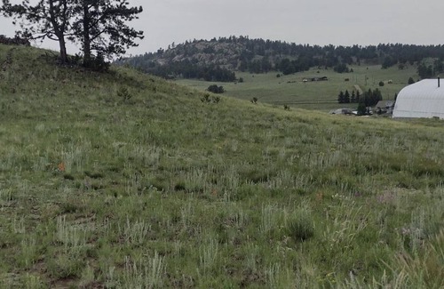 Florissant RV Rental | Be Closer to the HUNT!
