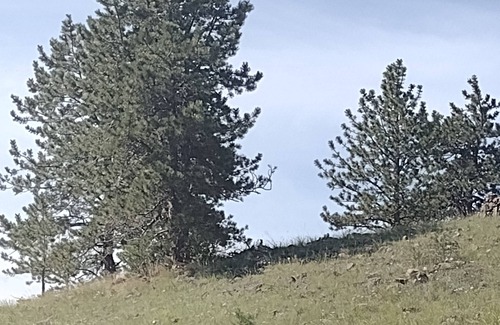 Florissant RV Rental | Be Closer to the HUNT!
