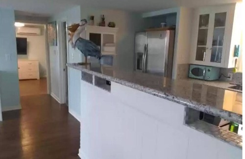 Matagorda House | Beach and river view cottage with deck and specatuclar views.