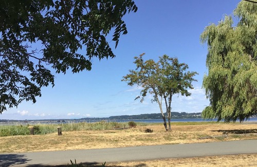 Courtenay Cabin | Beach Bum Cabin with awesome water views, sunsets and bird watching.