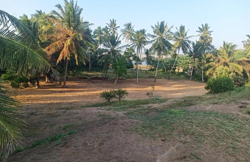 Tangalle House | Beach Bungalow