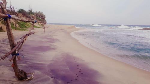 Kirinda Other | Beach Bungalow Yala