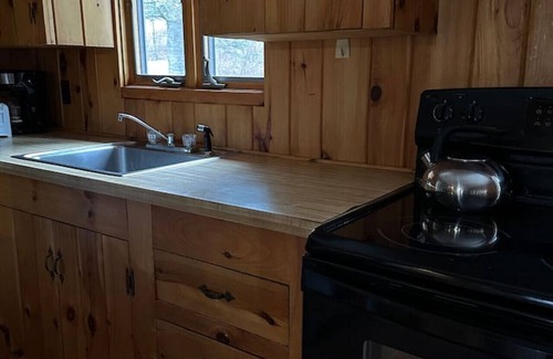 Indian Lake Cabin | Beach - Family & Pet Friendly - Adirondack Cabin