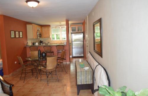 Zarzal Apartment | Beach Front Apartment Rio Mar Puerto Rico