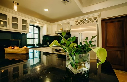 Bavaro Villa | Beach Front Villa on the Playa Bavaro