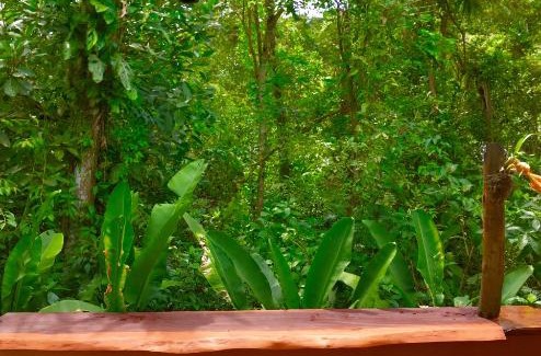 Prumirim House | Beach House Prumirim