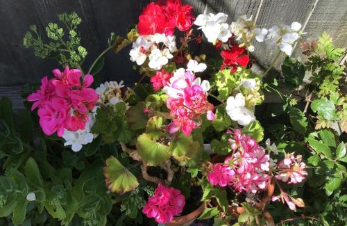 Westgate-on-Sea House | Beach Road