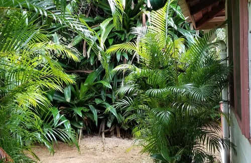 West End Villa | Beachcliff Villa Negril