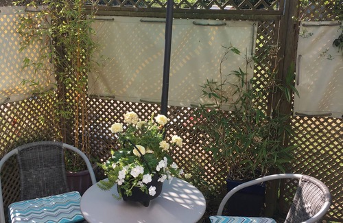 New Forest District Apartment | Beaches Studio is in a Fabulous Location with Views to the Shingle Bank and Iow