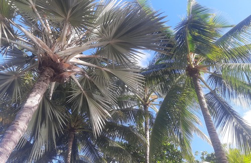 Pereybere Villa | Beachfront air-conditioned 4 bedroom equipped villa.