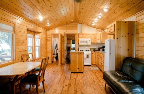 Sekiu Cabin | Beachfront Cabin – Pet-Friendly Romantic Escape w/Views & Huge Deck